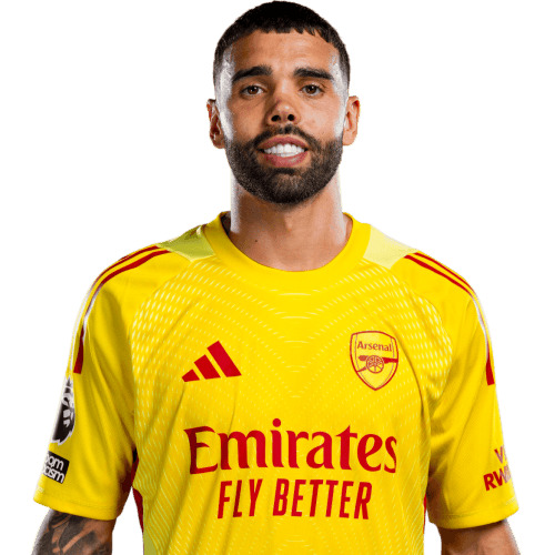 David Raya cutout photo