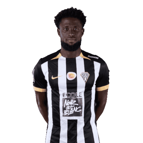 Carlens Arcus cutout photo