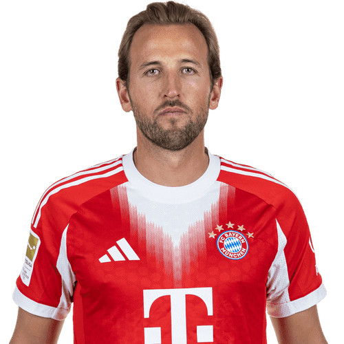 Harry Kane cutout photo