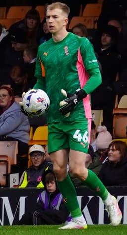 Joe Gauci
