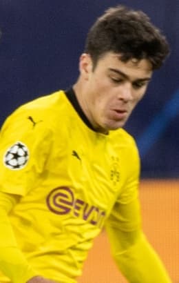 صورة مقصوصة لـ Giovanni Reyna
