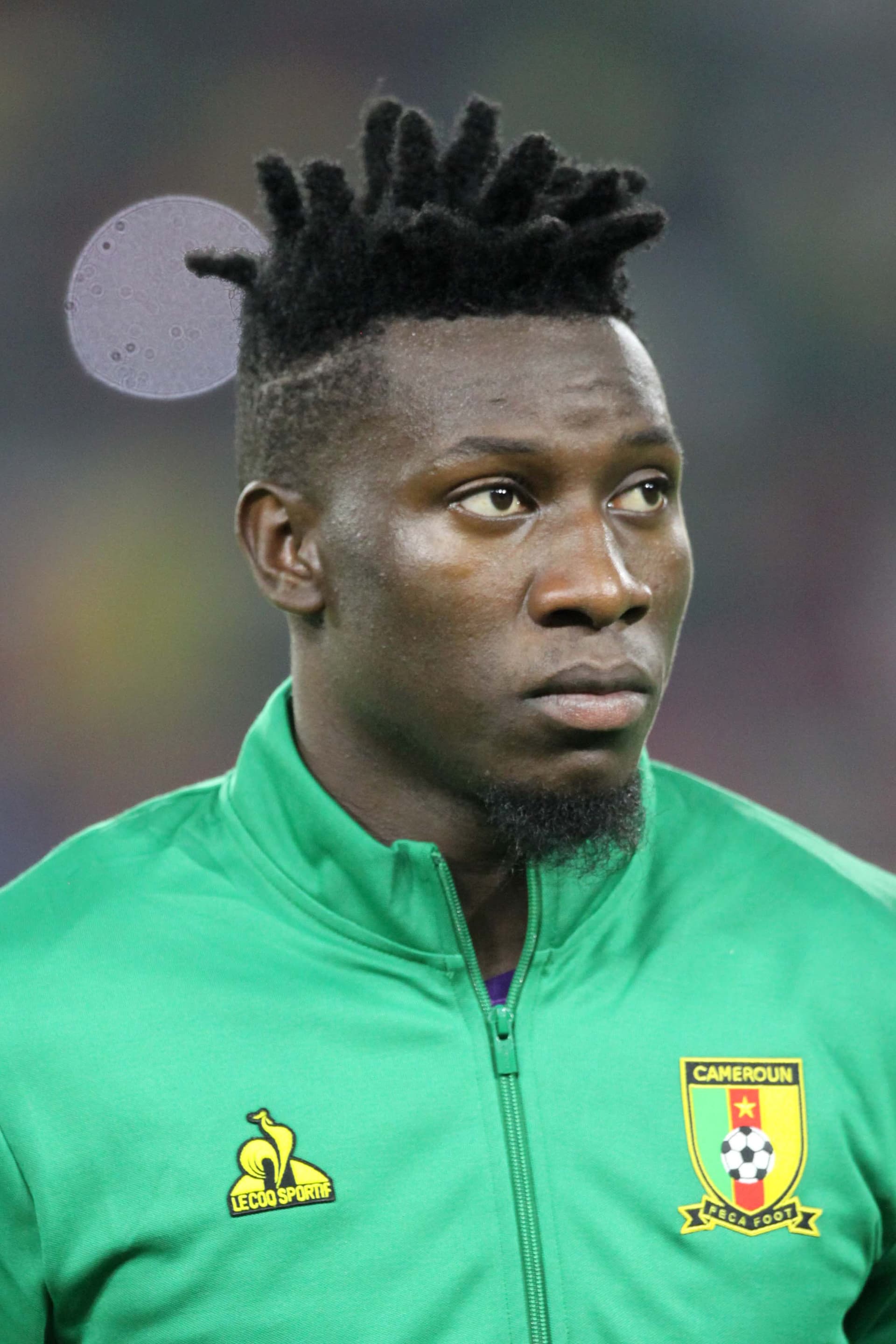 Foto ritagliata di André Onana