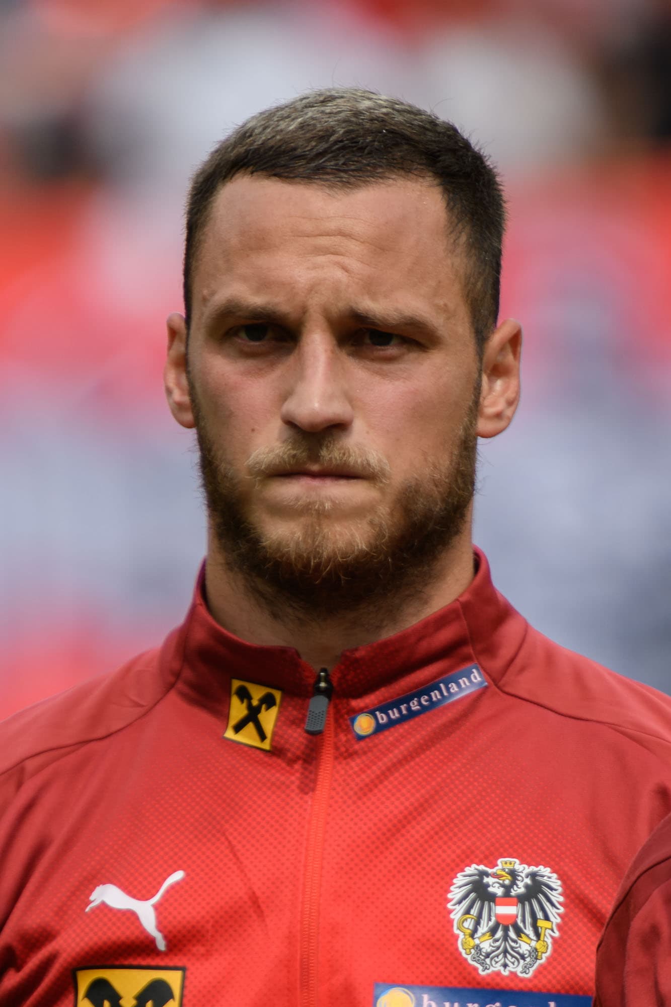 تصویر برشخورده Marko Arnautović