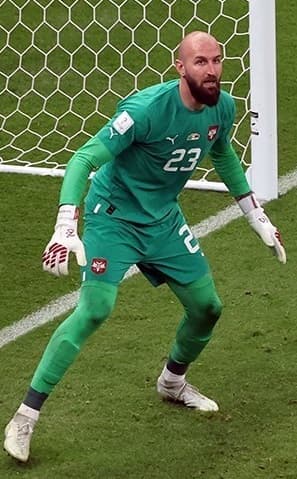صورة مقصوصة لـ Vanja Milinković-Savić